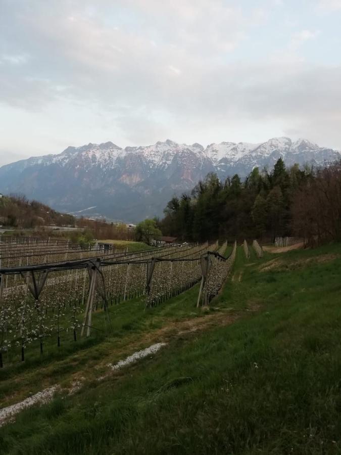 B&B Le Fontane Fam. Degan Carzano  Zewnętrze zdjęcie