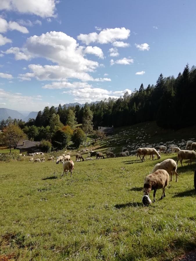 B&B Le Fontane Fam. Degan Carzano  Zewnętrze zdjęcie